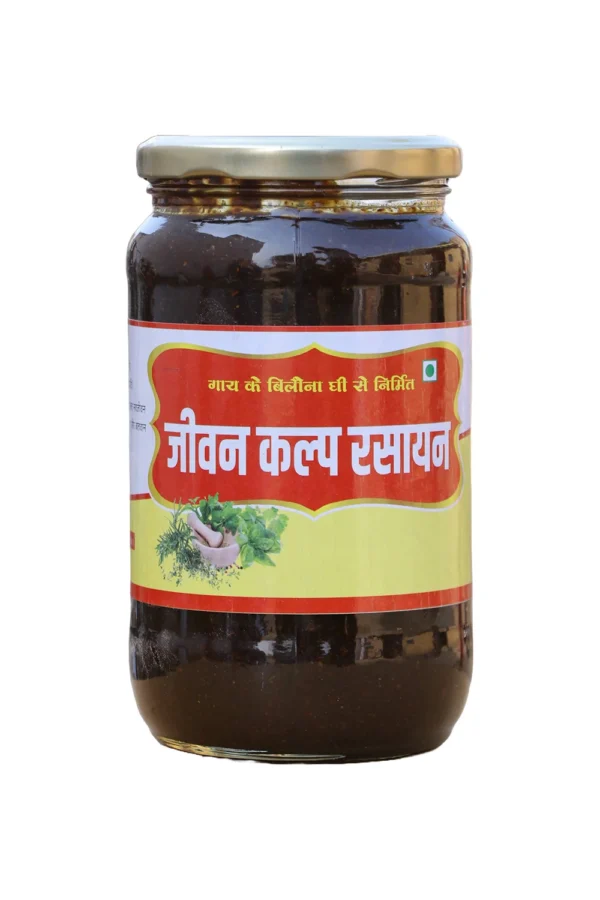 Suryaketu Jeevan Kalp Rasayan 500g