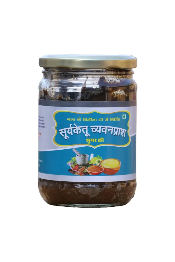 Suryaketu Suger Free Chyawanprash 500g